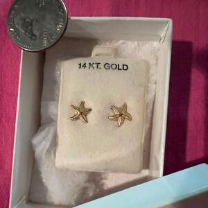 14 KT gold Starfish earrings